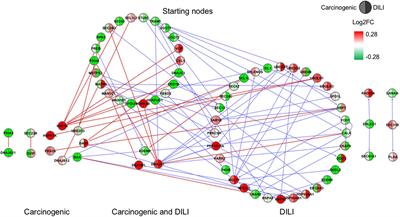 Dose and Time Dependencies in Stress Pathway Responses during Chemical Exposure: Novel Insights from Gene Regulatory Networks